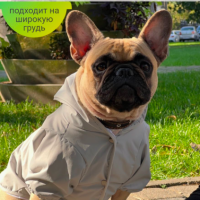 UMI_PET Дождевик для собак одежда куртка